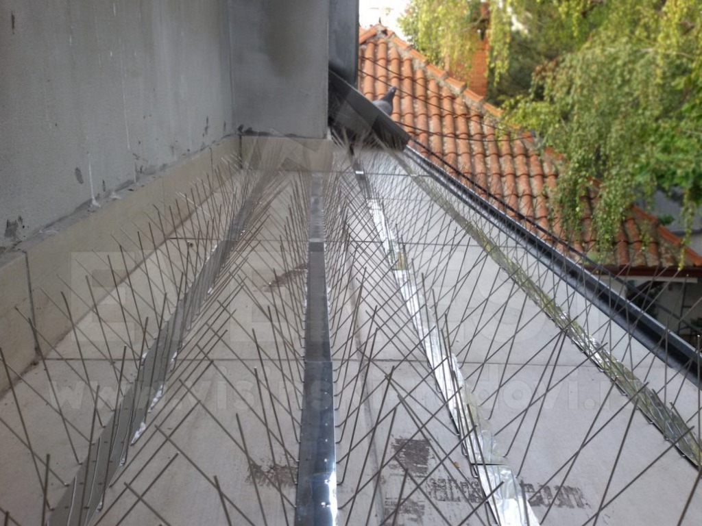 Igličasti sistemi protiv ptica