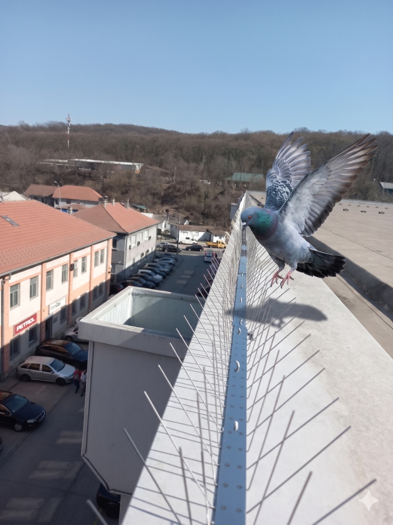 Luksuzna arhitektura sa zaštitom od ptica